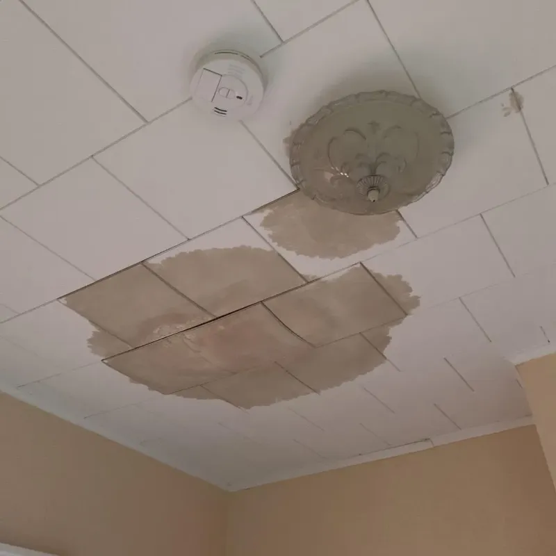 Ceiling Water Damage Repair in Guntown, MS