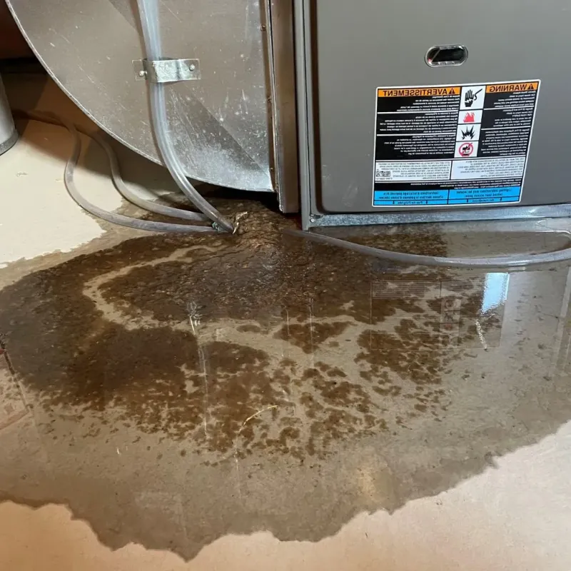 Pipe Burst and Leak Restoration in Guntown, MS