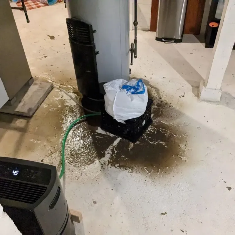 Sewage Backup Cleanup Service in Guntown, MS